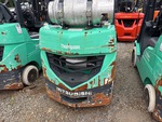 General Appearance with Paint
