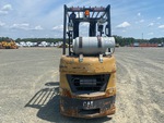 General Appearance with Paint