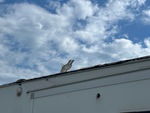 Outside Utilities with
