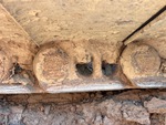 Undercarriage with Left Track Links