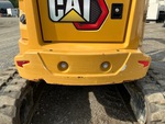 General Appearance with Paint