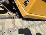 General Appearance with Paint