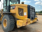 General Appearance with Paint