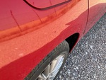General Appearance with Paint