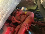 Engine with Fuel System