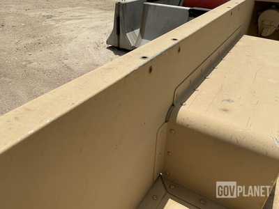 General Appearance with Paint