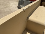 General Appearance with Paint