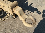 General Appearance with Paint