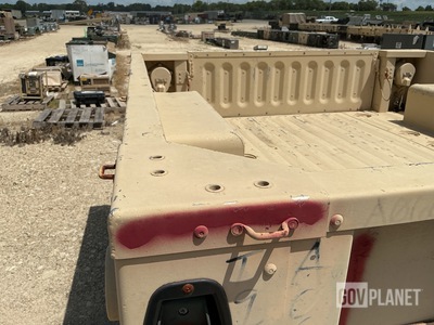General Appearance with Paint