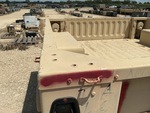 General Appearance with Paint