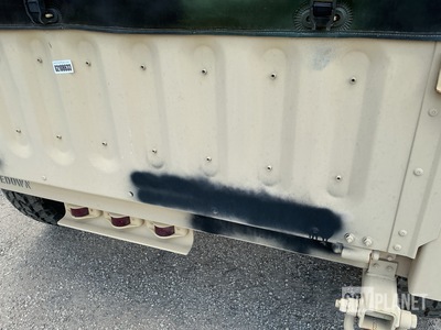 General Appearance with Paint