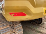 General Appearance with Paint