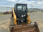 General Appearance with Paint