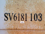 General Appearance with Numero seriale/numero d’identificazione del veicolo (VIN)