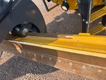 General Appearance with Paint