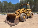 General Appearance with Spin
