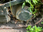 Undercarriage with Rocchetti