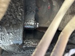 Engine with Oil Leaks