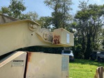 General Appearance with Paint