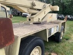 General Appearance with Paint