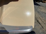 General Appearance with Paint