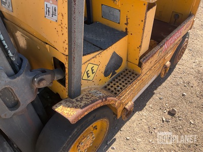 General Appearance with Paint