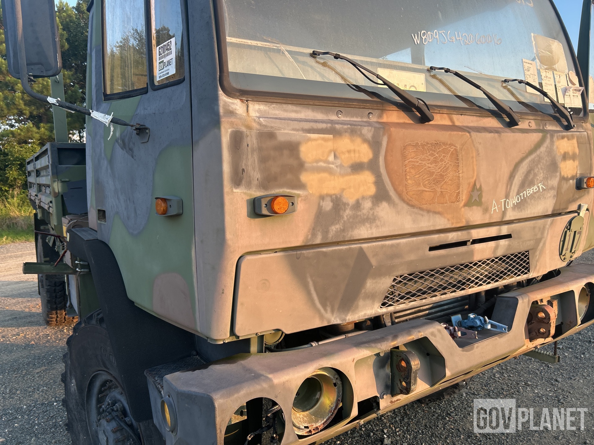 General Appearance with Paint