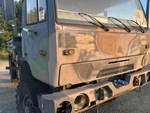 General Appearance with Paint