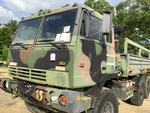 General Appearance with Paint