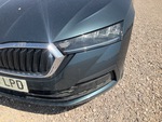 General Appearance with Exterior Lights
