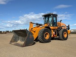 General Appearance with Spin