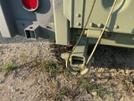 Chassis with Tie Down Points/ Lashing Rings