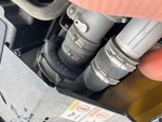 Engine with Exhaust System