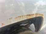 General Appearance with Paint