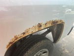 General Appearance with Paint