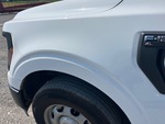 General Appearance with Paint