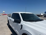 General Appearance with Glass