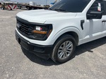 General Appearance with Paint