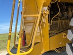 General Appearance with Paint