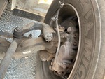Brakes with