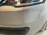 General Appearance with Paint