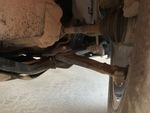 Drivetrain with Transmission