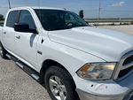 General Appearance with Paint