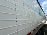 General Appearance with Paint