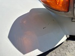 General Appearance with Paint