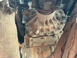 Underbody with Transmisión