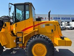 General Appearance with Paint