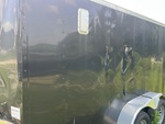 General Appearance with Paint