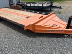General Appearance with Paint