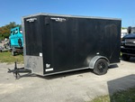 General Appearance with Paint
